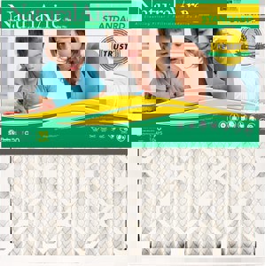 16X25X1 NATU AIRE STD